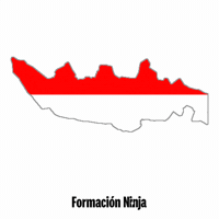 Flag Indonesia GIF by Formación Ninja