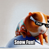 Guinea Pig Snow GIF by Guinea Gambino