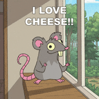 Pet Love GIF by Web3 Playboys