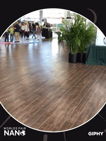 worlds fair nano GIF