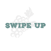 santa barbara california Sticker by Grapeline Wine Tours