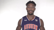 war eagle GIF by Auburn Tigers
