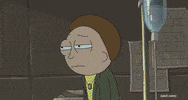 Season 4 Episode 6 GIF by Rick and Morty