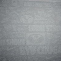 Celebration Byu Baseball GIF by BYU Cougars