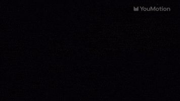 Animated Political Slides