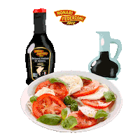 Salad Vinegar Sticker by Monari Federzoni US