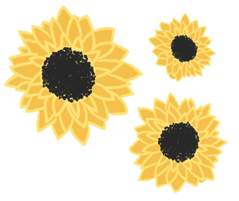 shophopskotch giphyupload summer flower day Sticker