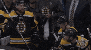ice hockey good job GIF by NHL