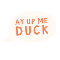 Hn Sticker