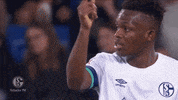 Football Soccer GIF by FC Schalke 04