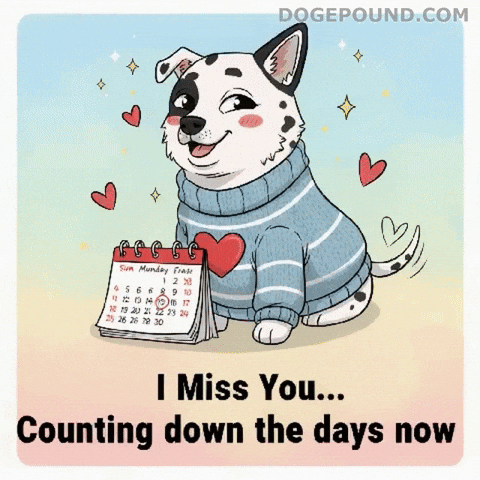 Miss You Love GIF by Doge Pound