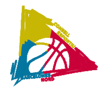 Basquet Sticker by ZenytSports