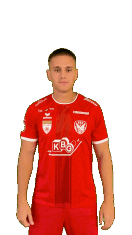 Kapfenberg Turi Sticker by KSV1919