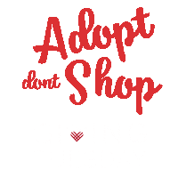 GBHS1883 adopt givingtuesday adopt dont shop giving tuesday Sticker