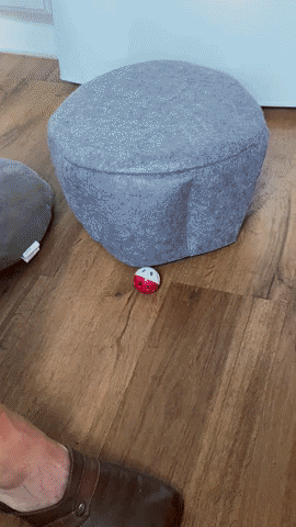 TristramS giphyupload GIF