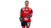 Sport Celebration Sticker by HDD SIJ Acroni Jesenice
