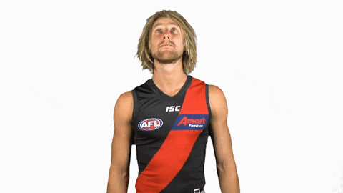 essendonfc giphyupload dons bombers essendon GIF