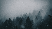 Snow Winter GIF