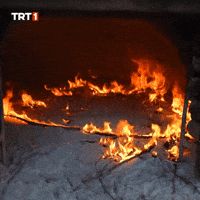 Punish The End GIF by TRT