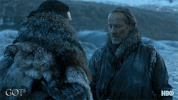 gameofthrones game of thrones hbo GIF