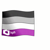 Kampania_Przeciw_Homofobii pride lgbt flag lgbtq GIF
