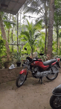 Libero GIF