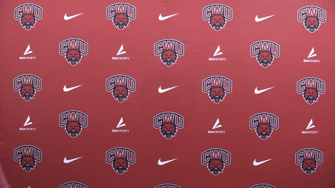 Softball Wildcats GIF by CWU Athletics