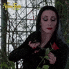 Addams Family Rose GIF by Paramount Movies