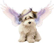 puppy angel STICKER