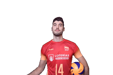 Volleyball Miki Fornes Sticker by RedLynxes
