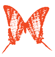 Magic Orange Sticker