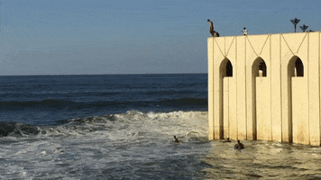 Im Out Give Up GIF by Robert E Blackmon