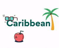 triplegend travel beach island tropical GIF