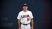 Pro GIF by USA Baseball