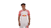 Wait What Lol Sticker by RB Leipzig