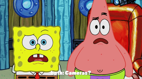 season 9 the fish bowl GIF by SpongeBob SquarePants