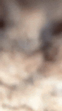Zoom Collectibles GIF by Youtooz