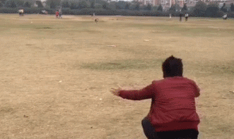 Pes běží k páníčkovi a na poslednou chvíli změní směr a "odmítne" ho tím.