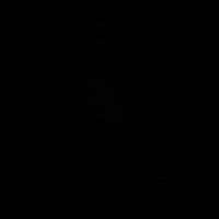 GIF by Detroit Pistons
