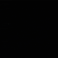 alien abduction aliens GIF by Erica Anderson