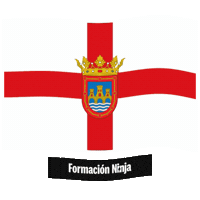 Flag Spain Sticker by Formación Ninja