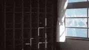 Dance Moves Dancing GIF