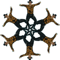 merry christmas STICKER by GIPHY
