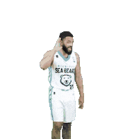 WinnipegSeaBears sea bears winnipeg sea bears Sticker