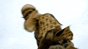 GIF by Game of Thrones
