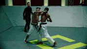 karatecombat sports sport karate fighters GIF