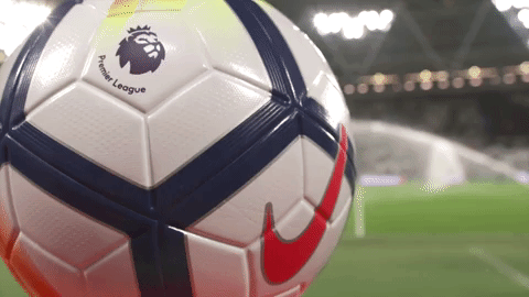 Soccer Futbol GIF by Brighton & Hove Albion Football Club