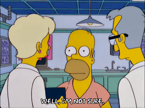 homer simpson GIF