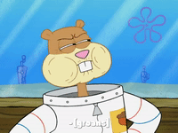 season 8 bubble troubles GIF by SpongeBob SquarePants