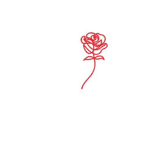 otrapiel giphyupload rosa flor primavera Sticker